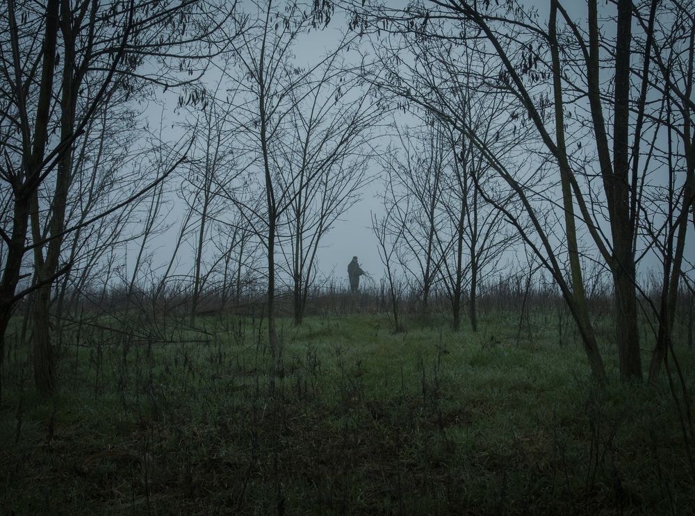 Photograph by Федор Архипов