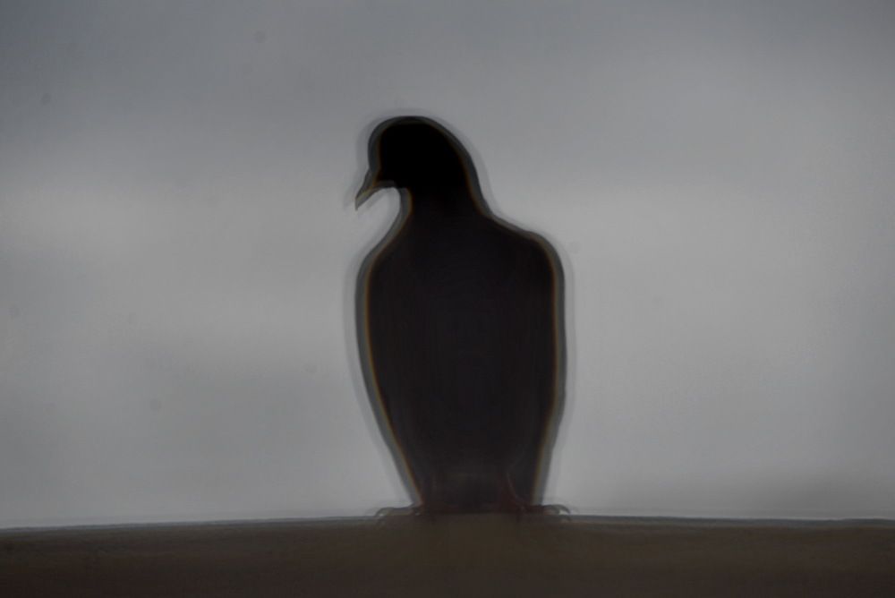Photograph by Вадим Гераскин