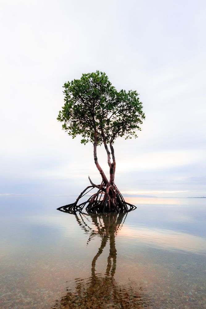 Photograph by nishijima takayuki