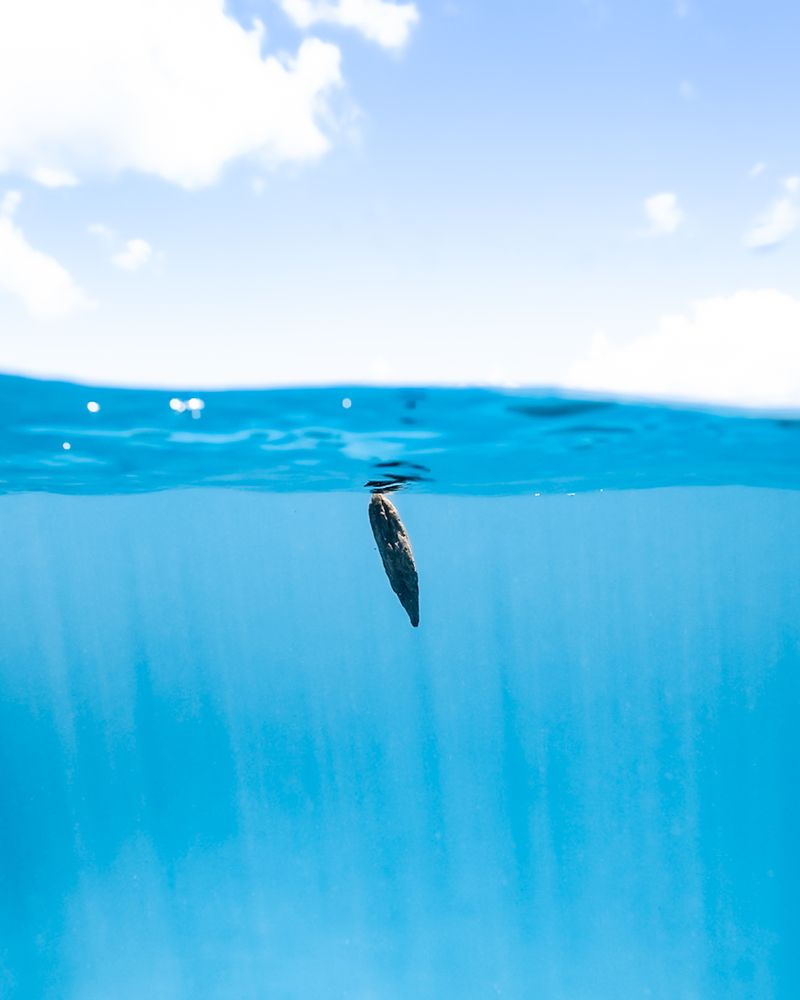 Photograph by nishijima takayuki
