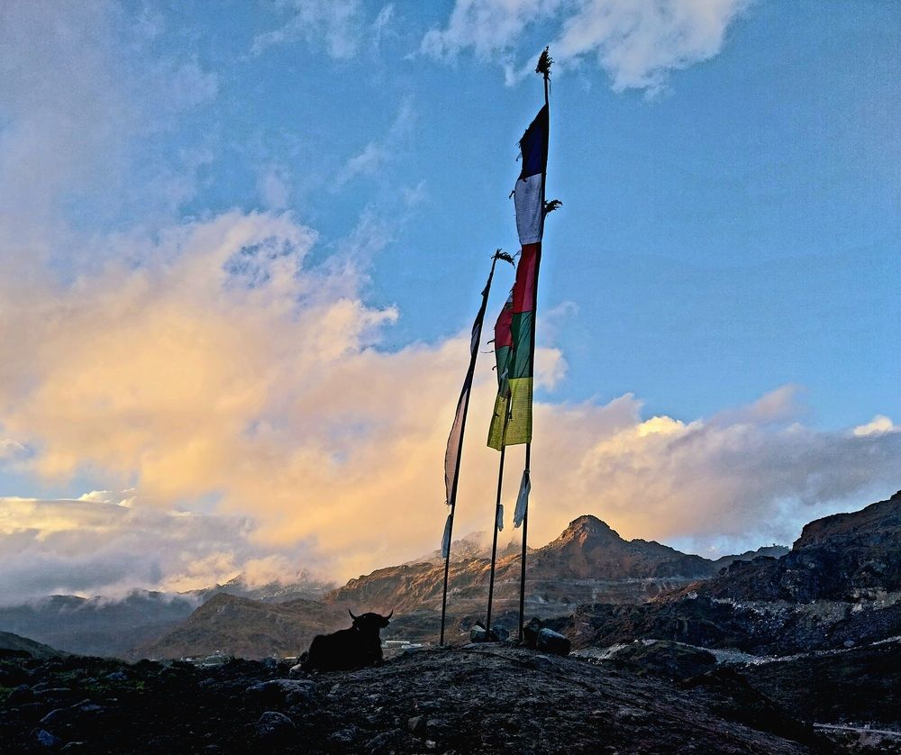 Photograph by rahul Raman