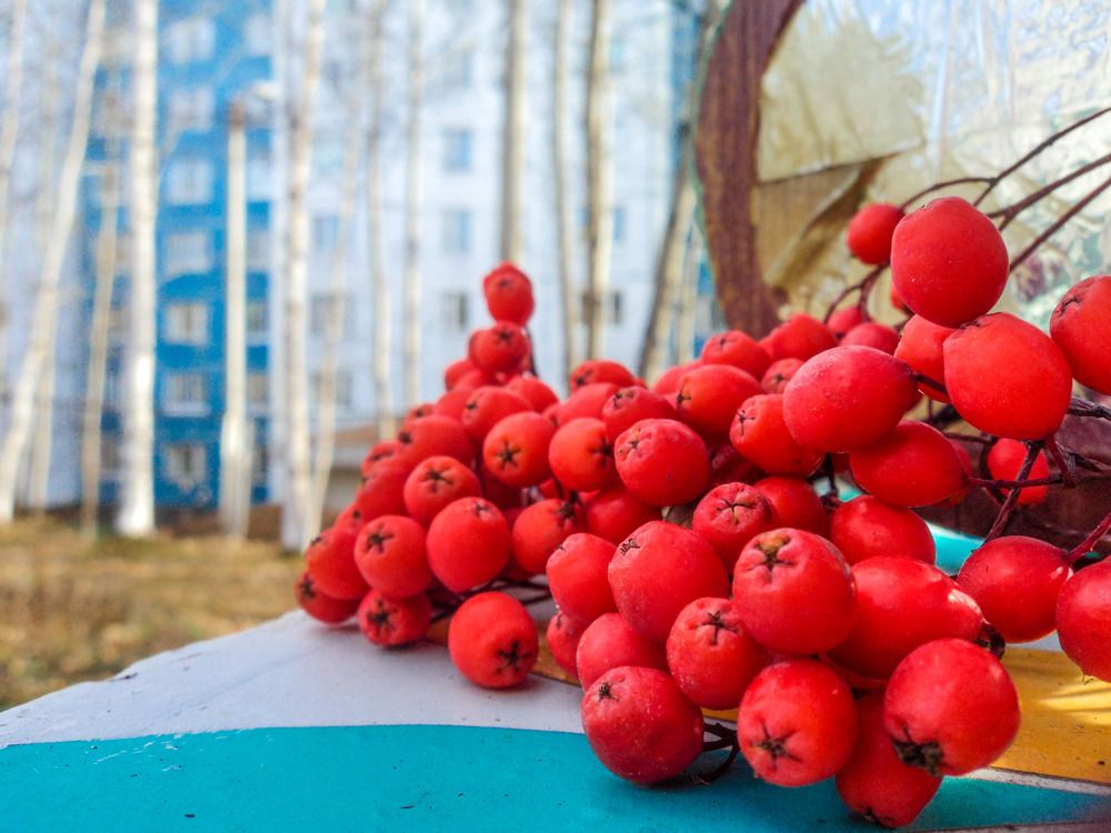 Photograph by Михаил Мархинин