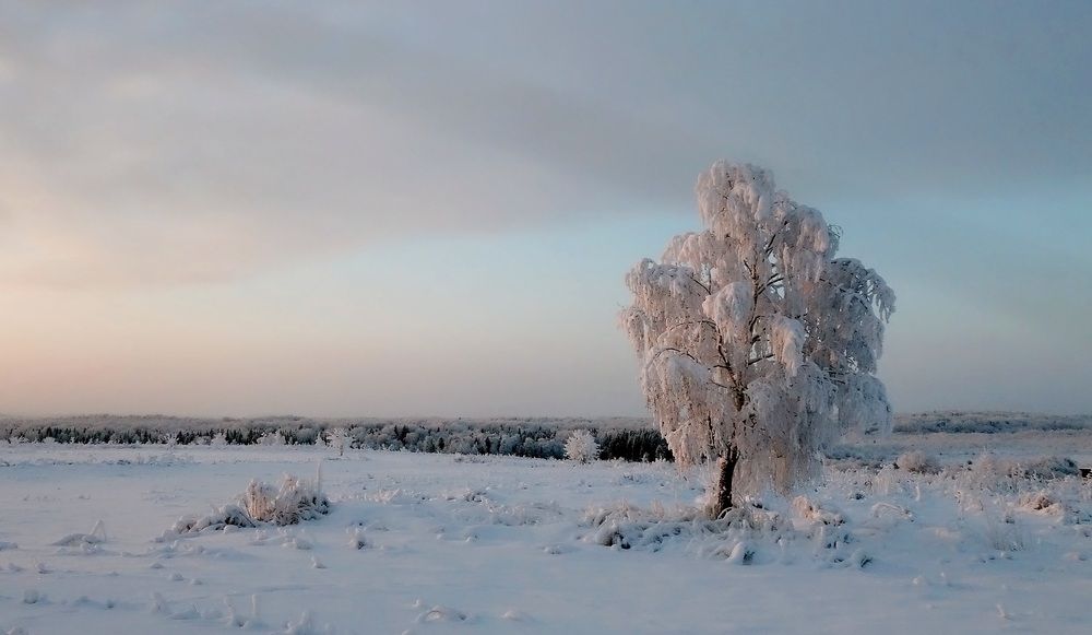 Photograph by Виктор Решетников
