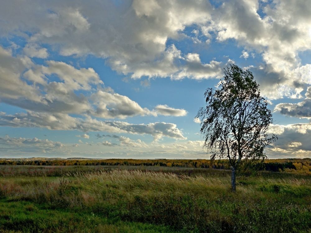 Photograph by Виктор Решетников