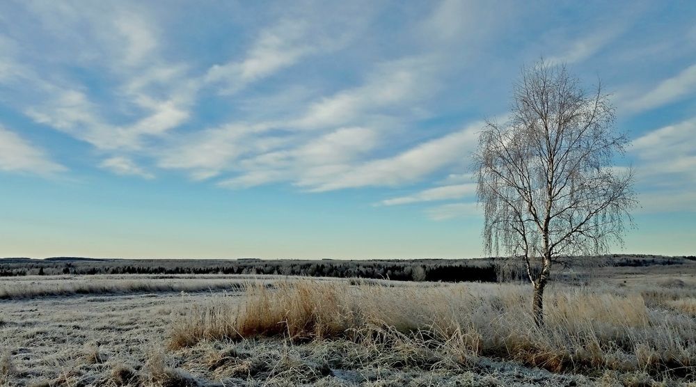 Photograph by Виктор Решетников