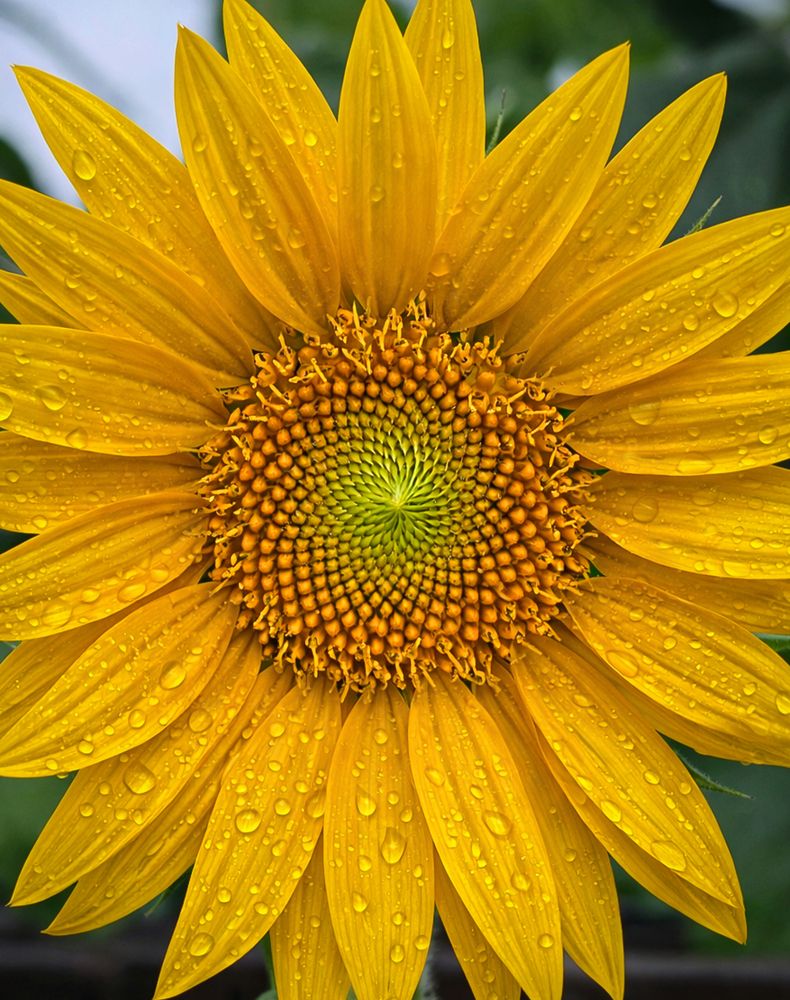 Photograph by Jeff Cooley