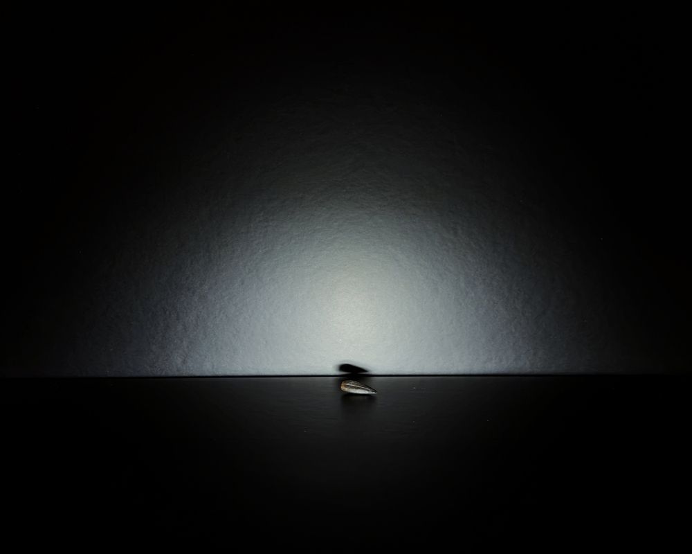 Photograph by Julia Kantor