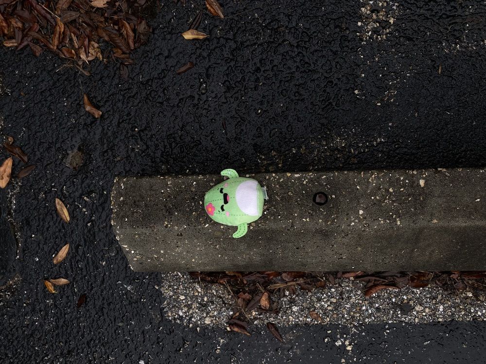 Photograph by Julia Kantor