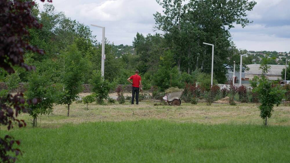 Photo #13652703