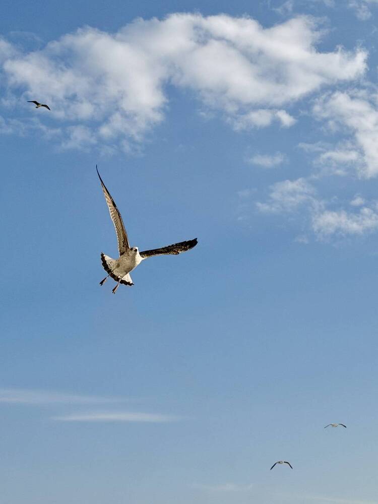 Photograph by Ольга Литвинова