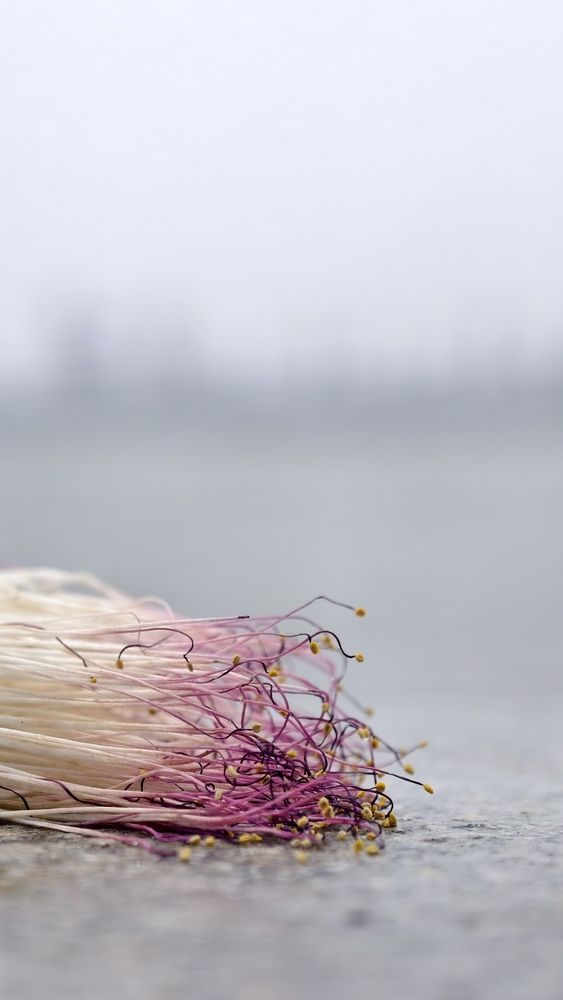 Photograph by Sahil Jadhav