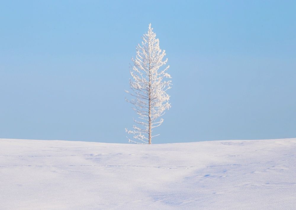 Photograph by Leanid Kulpo
