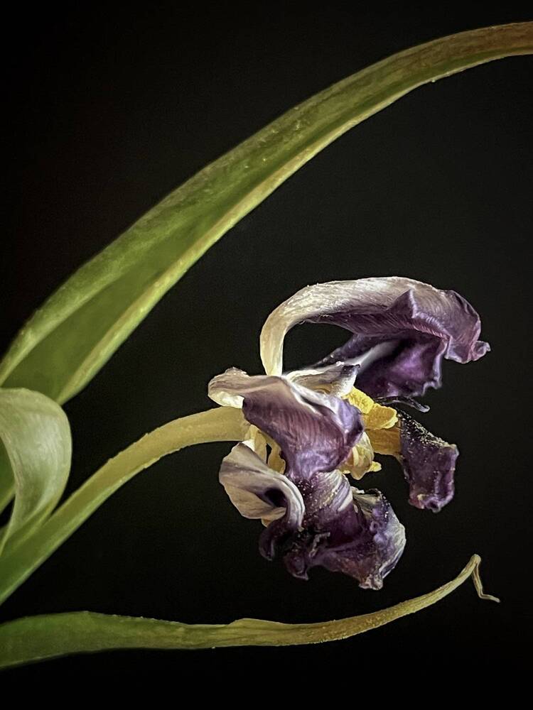 Photograph by Светлана Горн