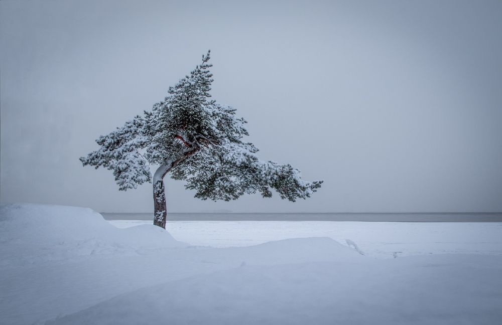 Photograph by Анна Пундалова