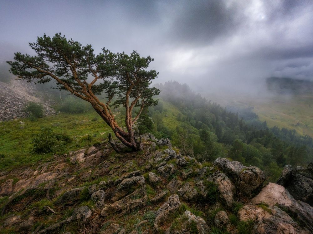 Photograph by Сергей Тихомиров