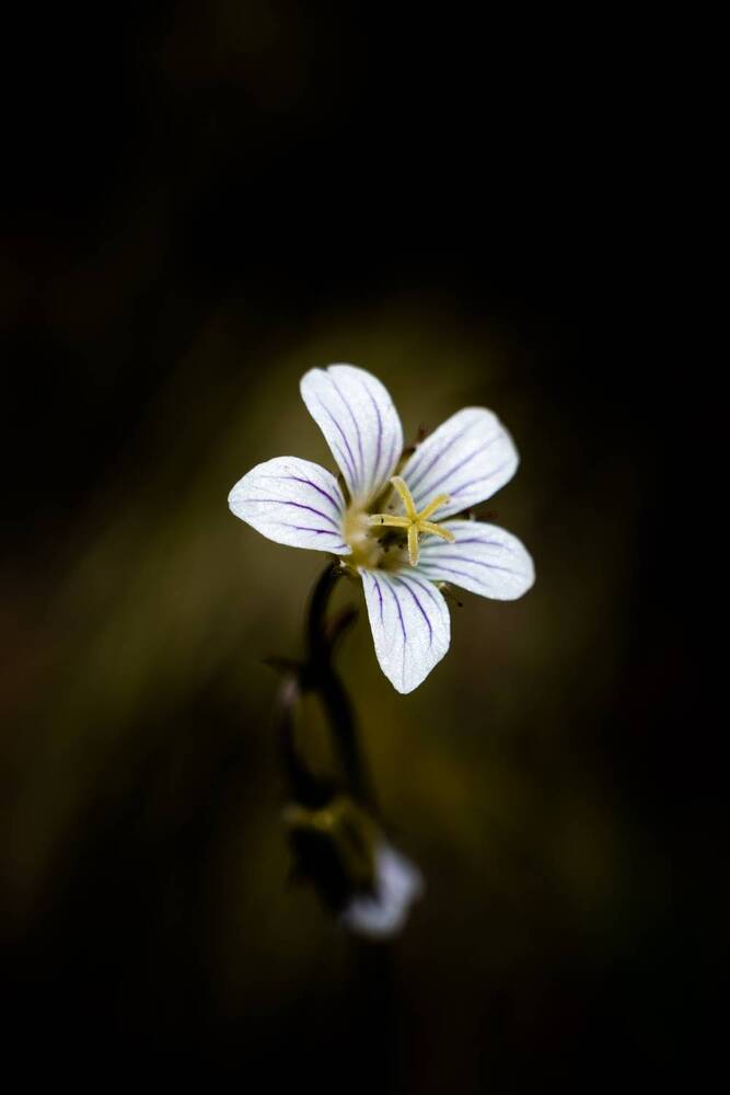Photograph by Алексей Поликарпов