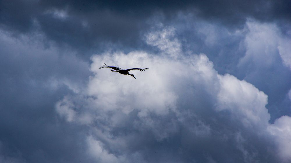 Photograph by Фролов Антон