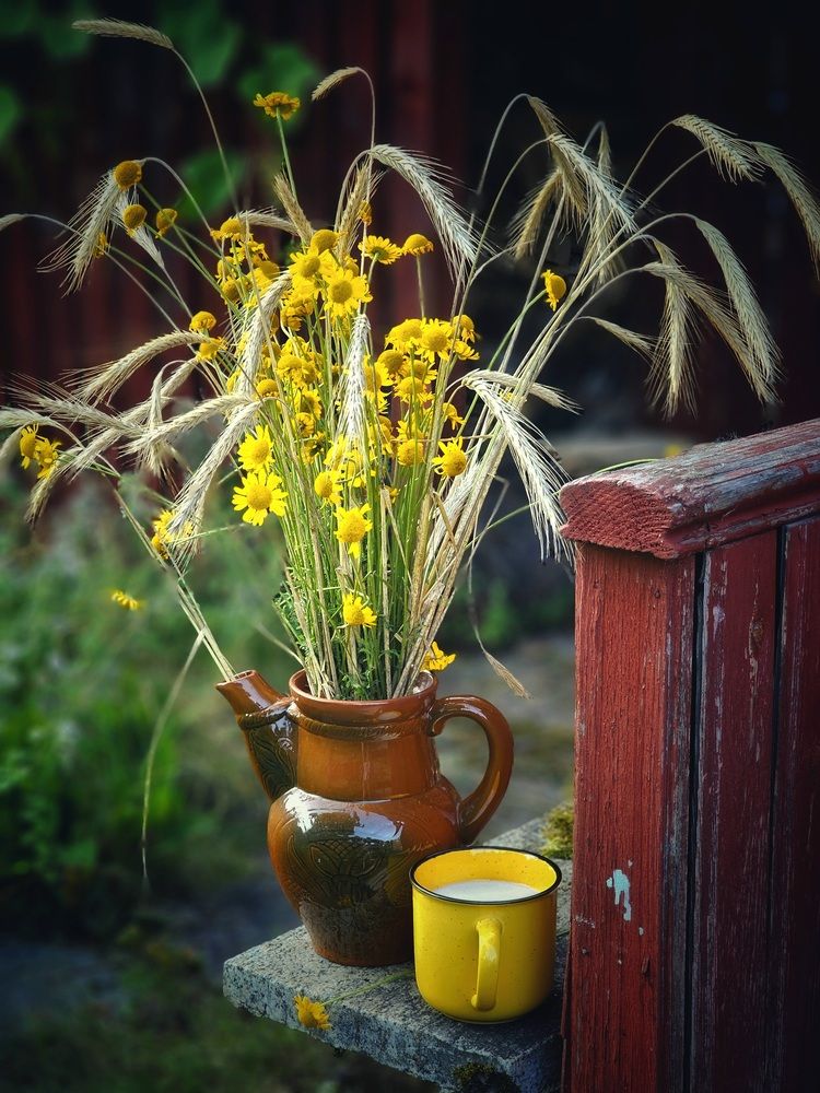 Photograph by Галина Левина