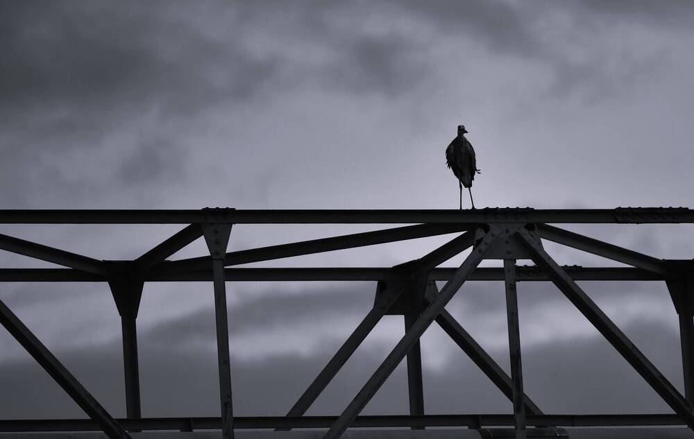 Photograph by OGAWA HITOMI