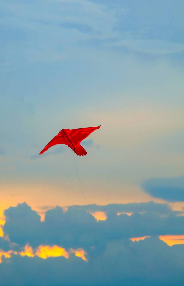 Photograph by Minh Tan Le