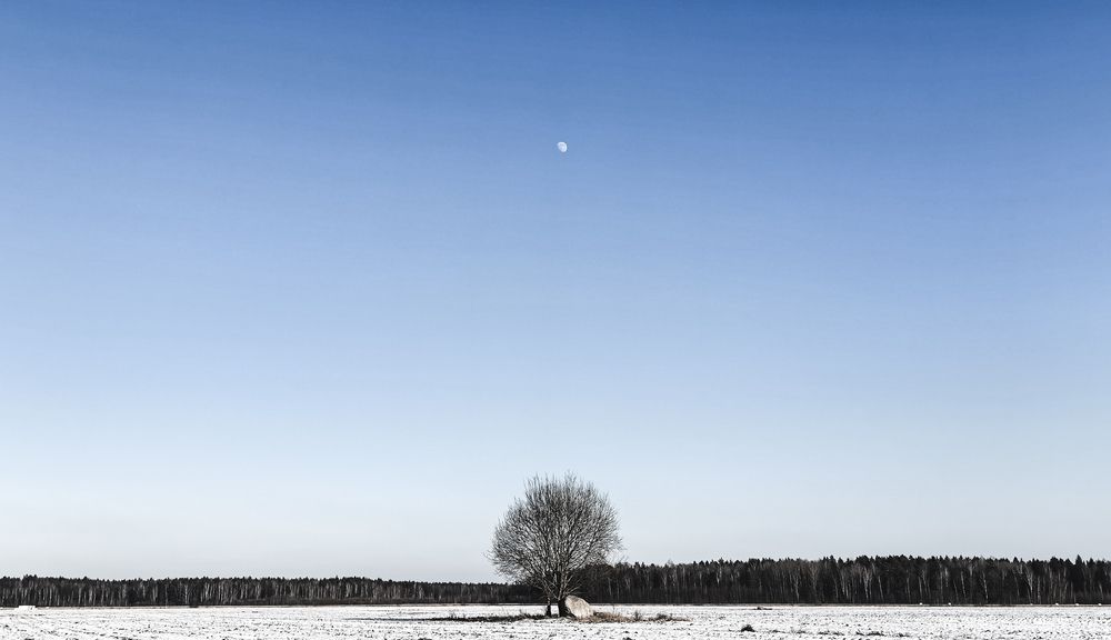 Photograph by Инна Невар