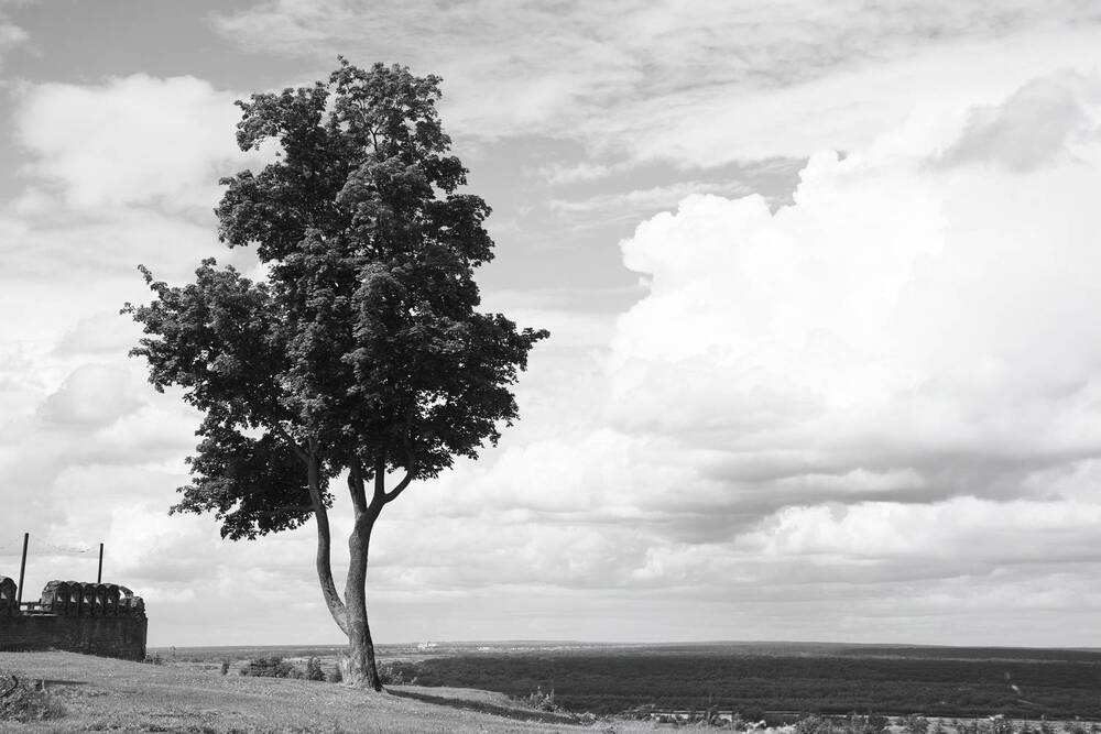 Photograph by Марсель Курячьева