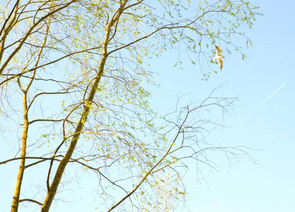 Photograph by Ольга Булавкина