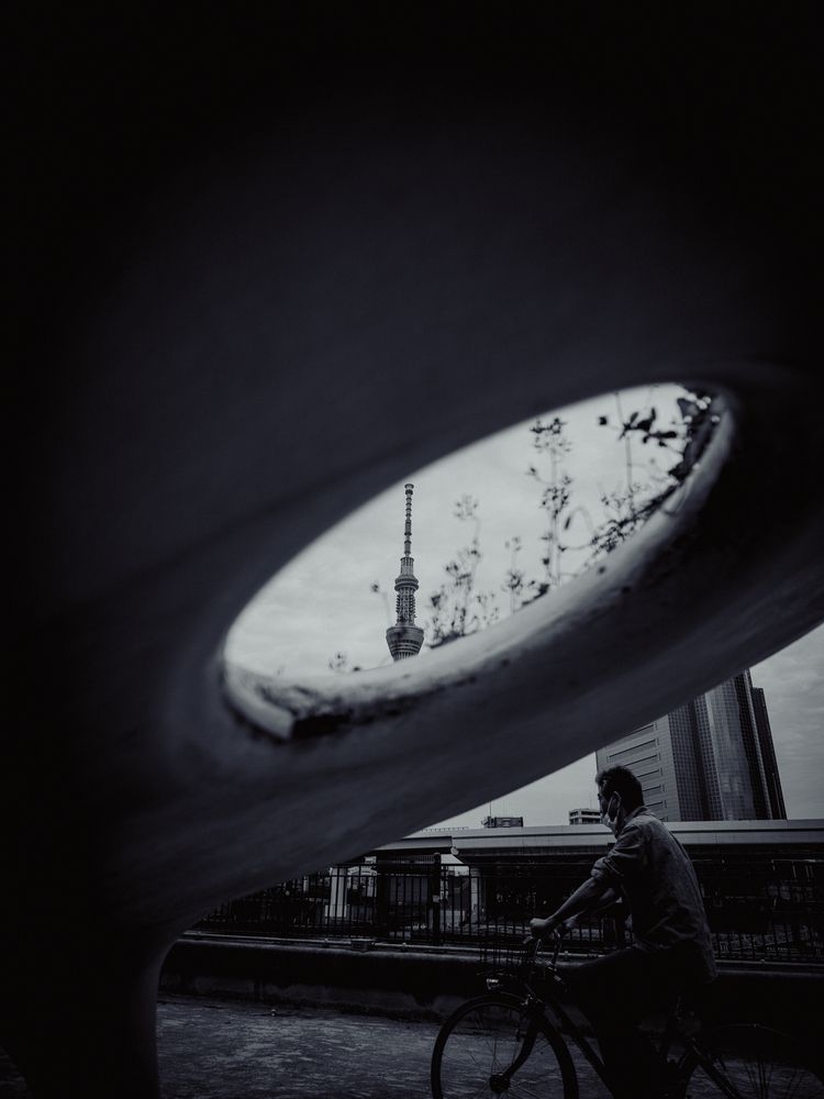Photo #13653266