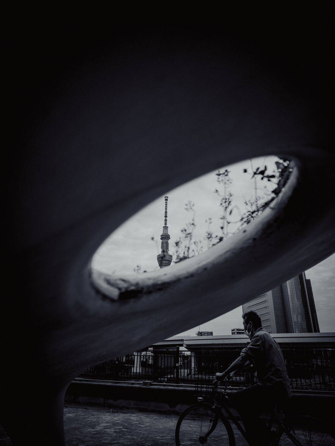 Photo #13653266