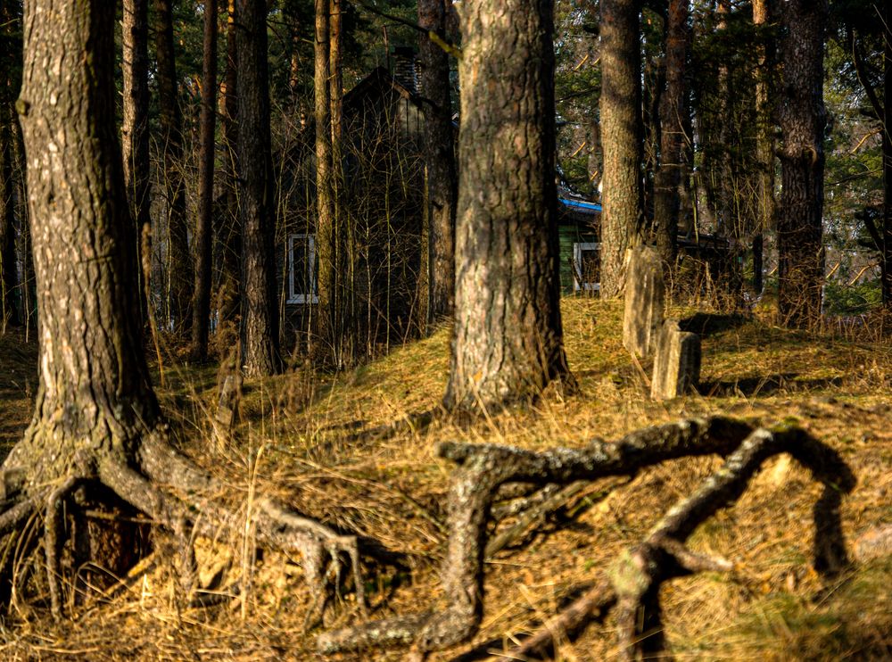 Photograph by Ирина Борисова