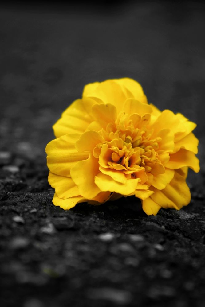 Photograph by Дарья Чертенкова