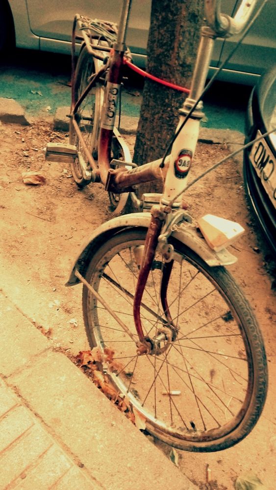 Photograph by alfredopardo
