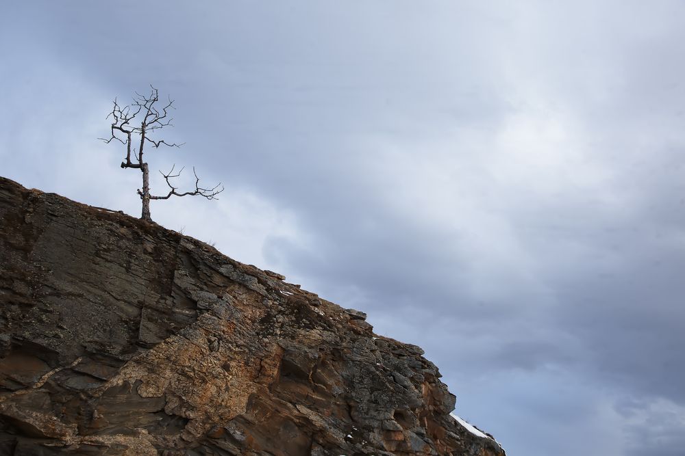 Photograph by Сергей Дудаков