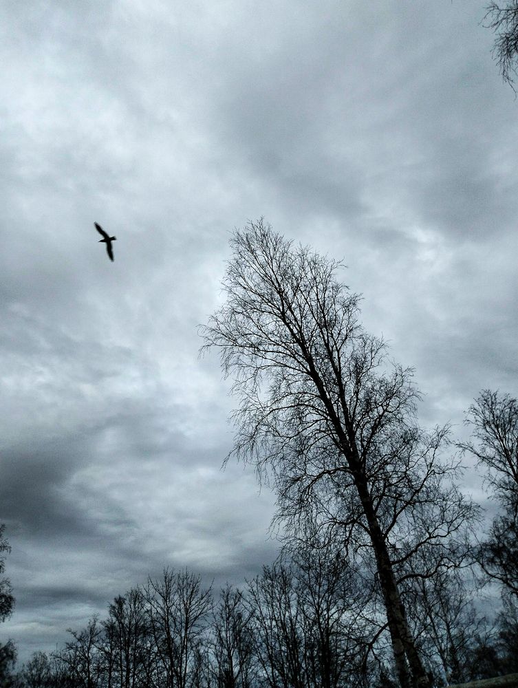 Photograph by Ирина Борисова