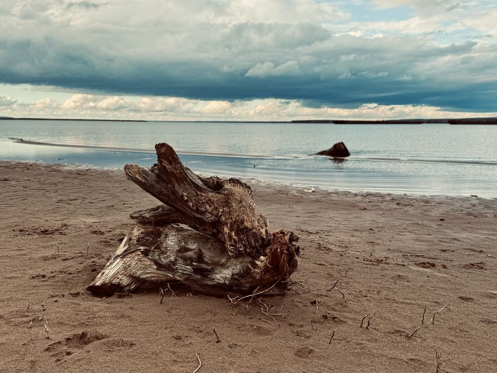 Photograph by Дарья Самойленко