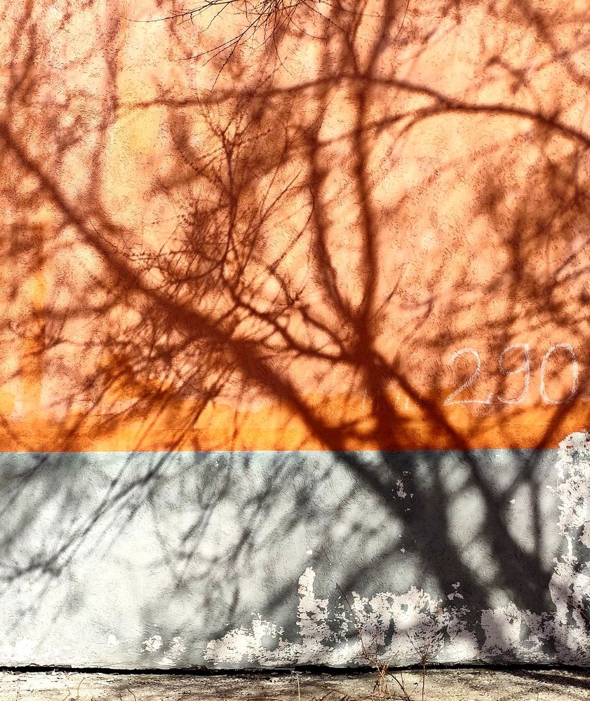 Photograph by Анна Александрова