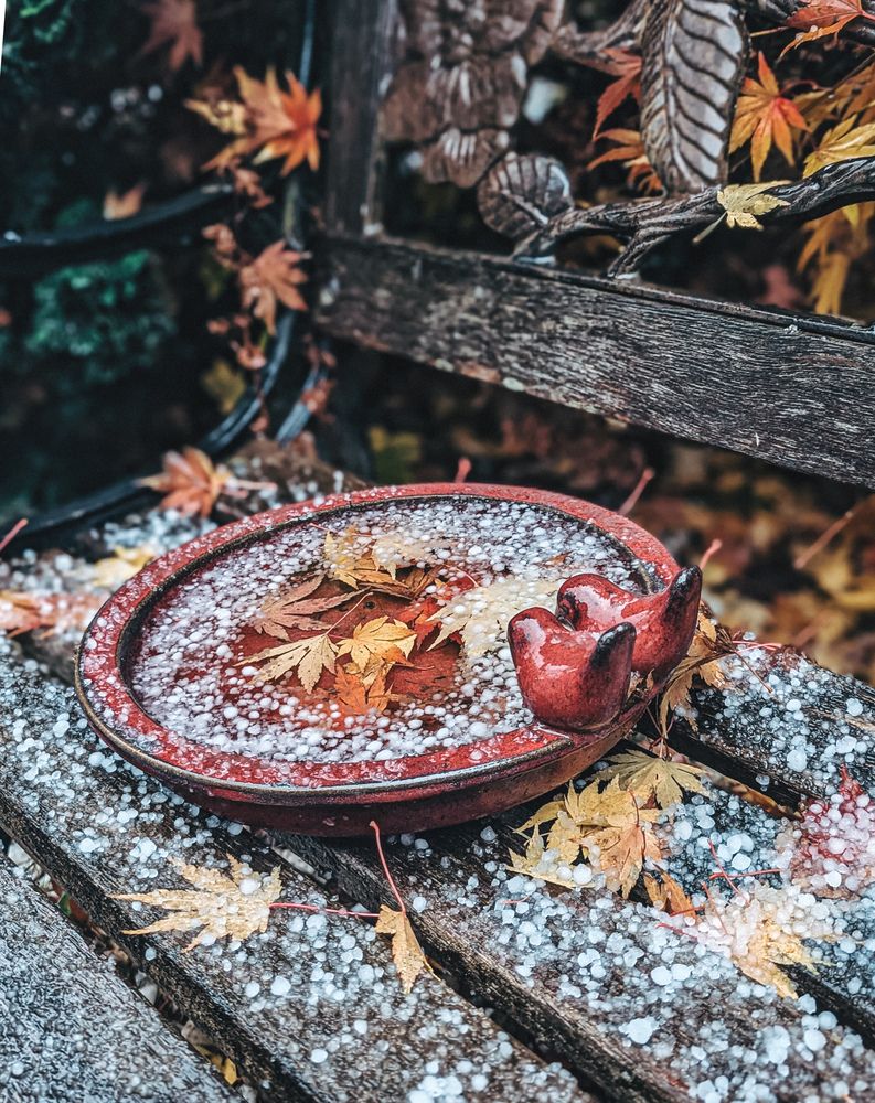 Photograph by Ксения Шляйхер