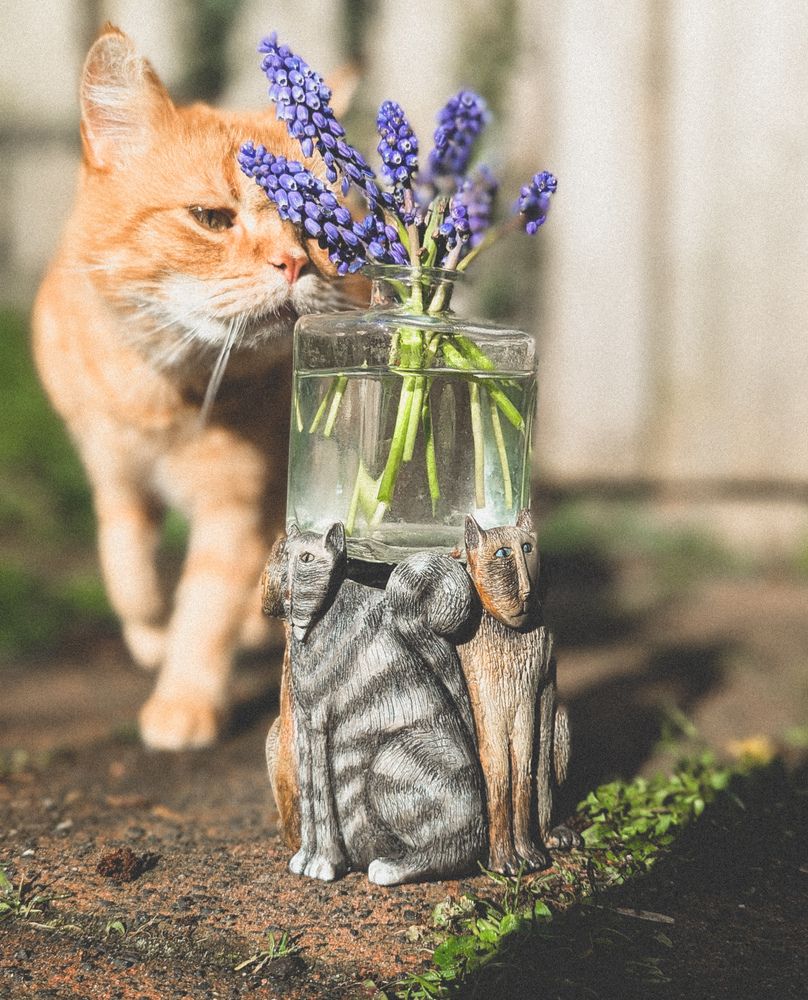 Photograph by Ксения Шляйхер