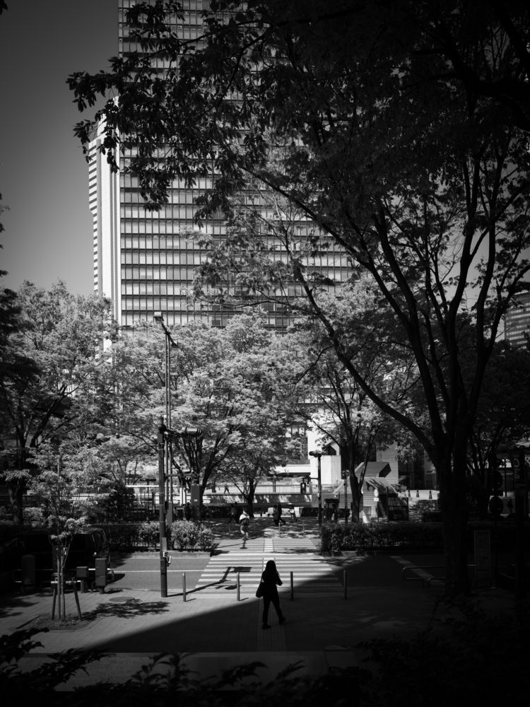 Photograph by Kiriya N