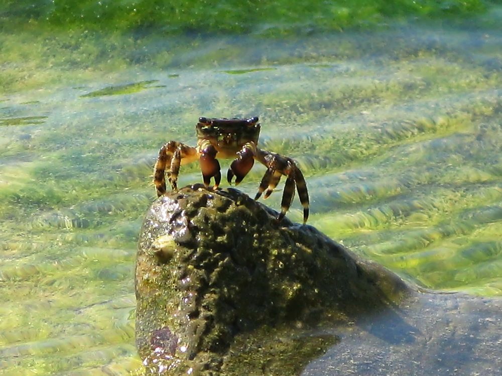 Photograph by Светлана Стрыгина