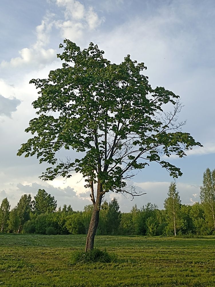 Photograph by Юлия