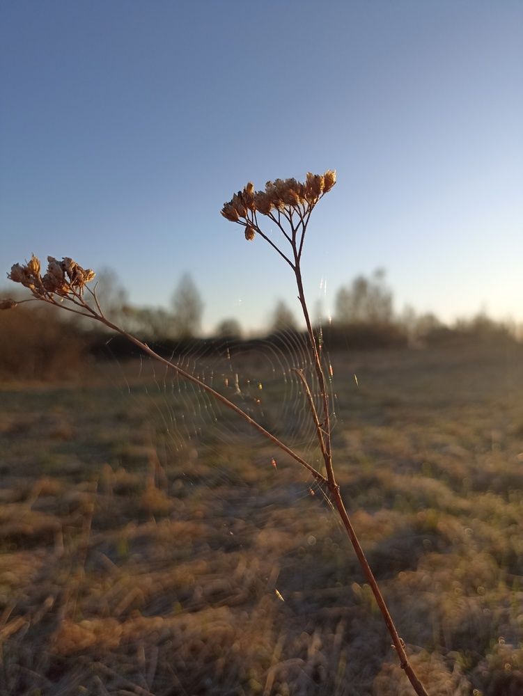 Photograph by Юлия