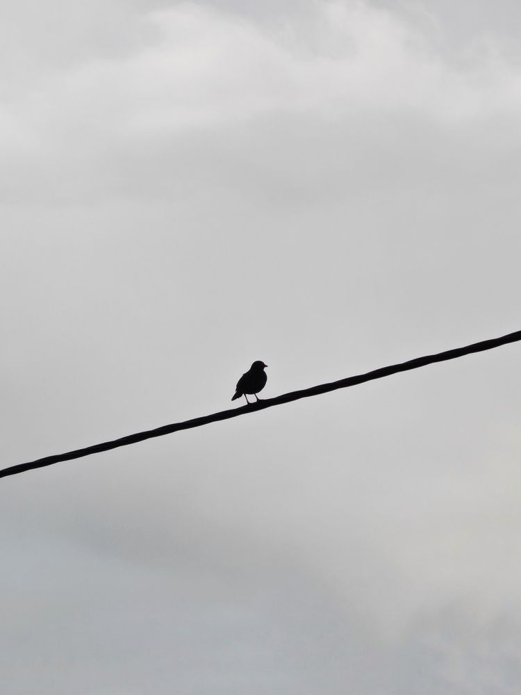 Photo #13653621