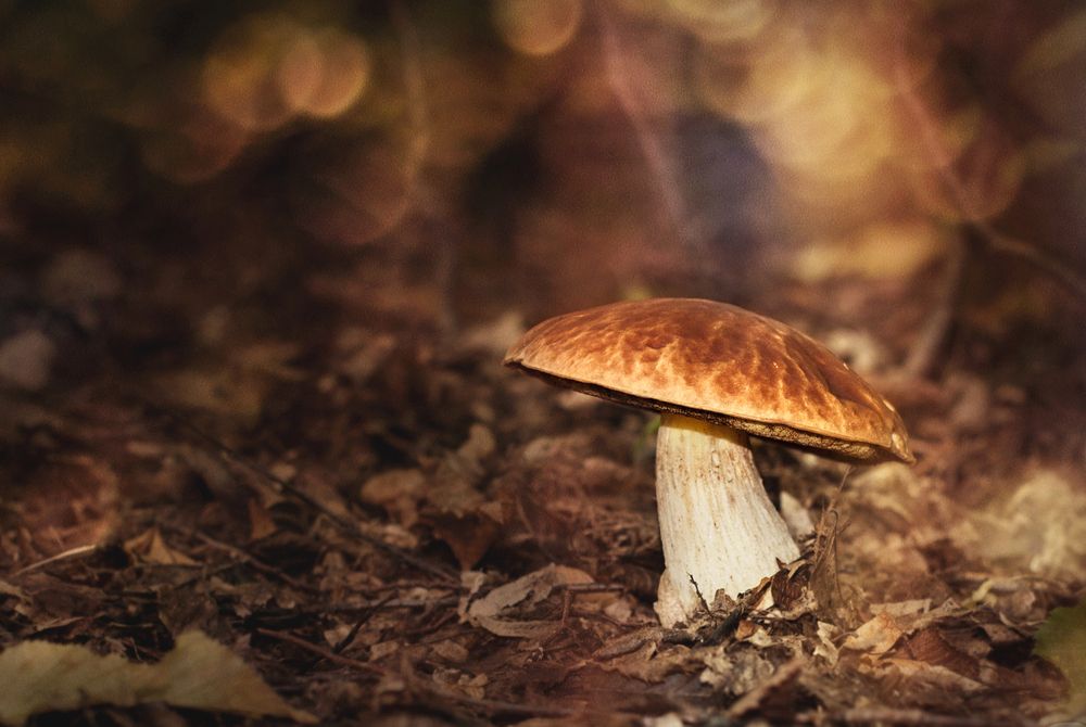 Photograph by MVO (Марк Орлов)