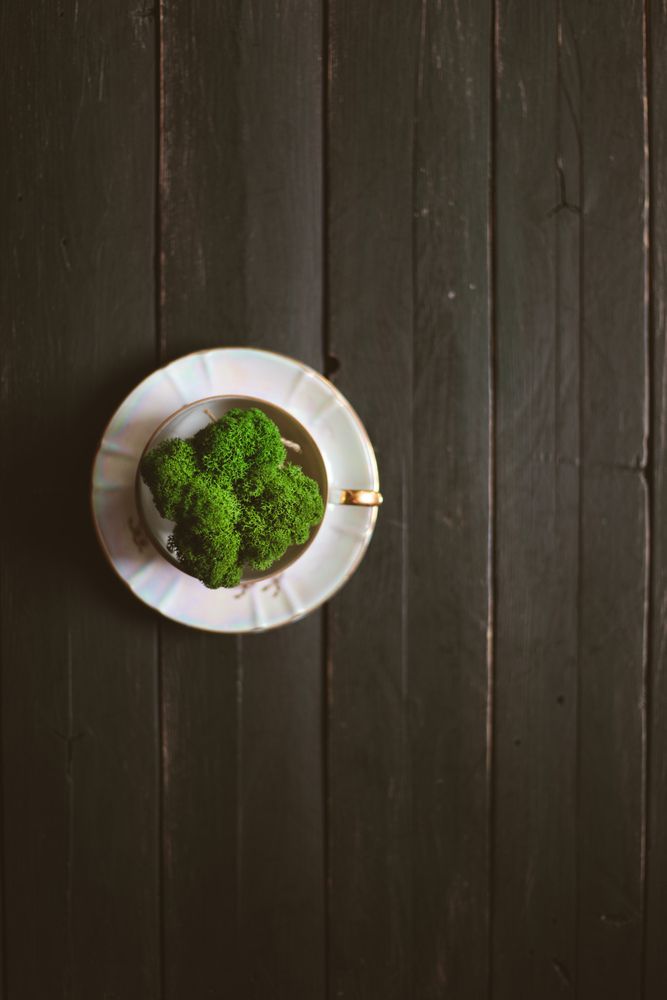 Photograph by Наталья Исаенко