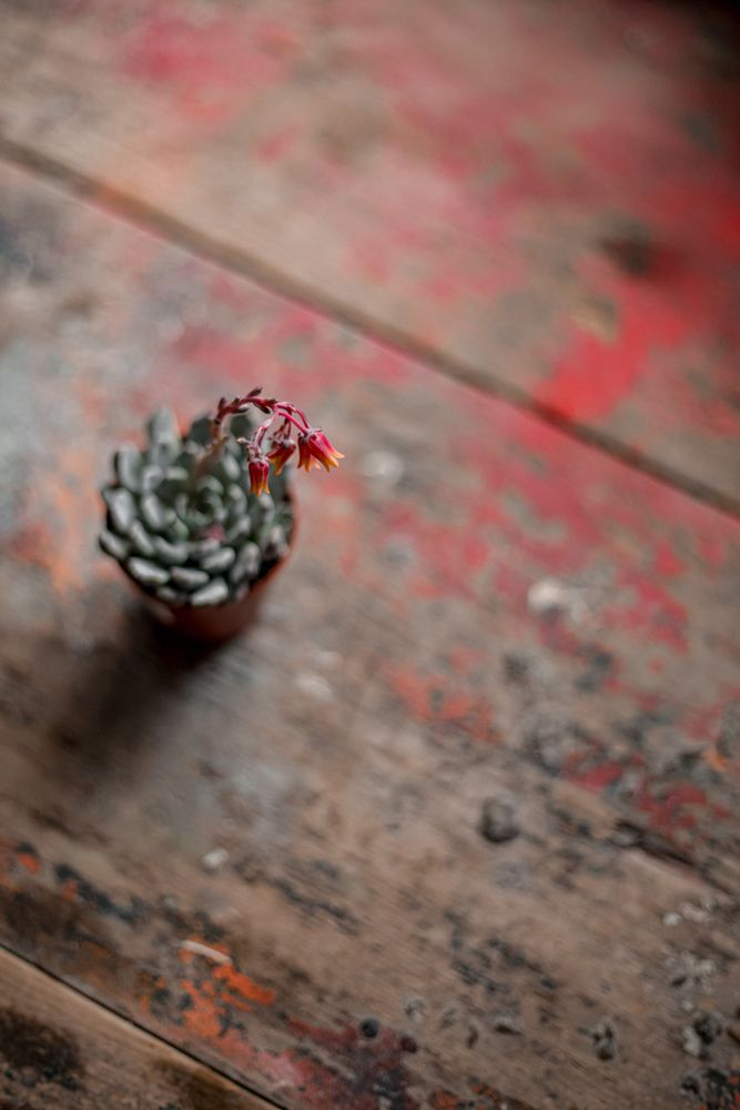 Photograph by Наталья Исаенко