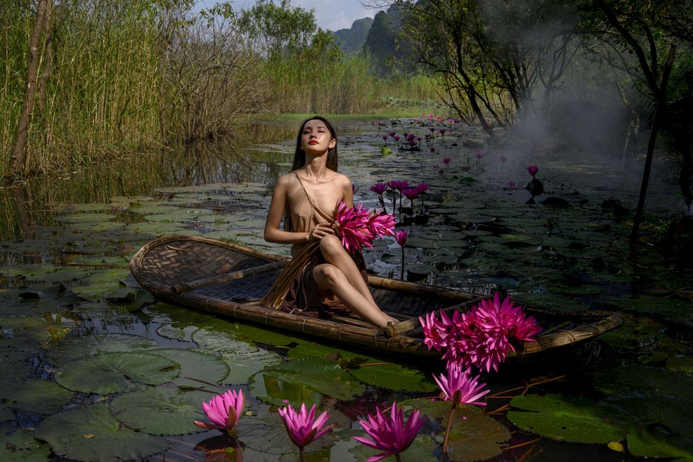 Where the Lotus Blooms