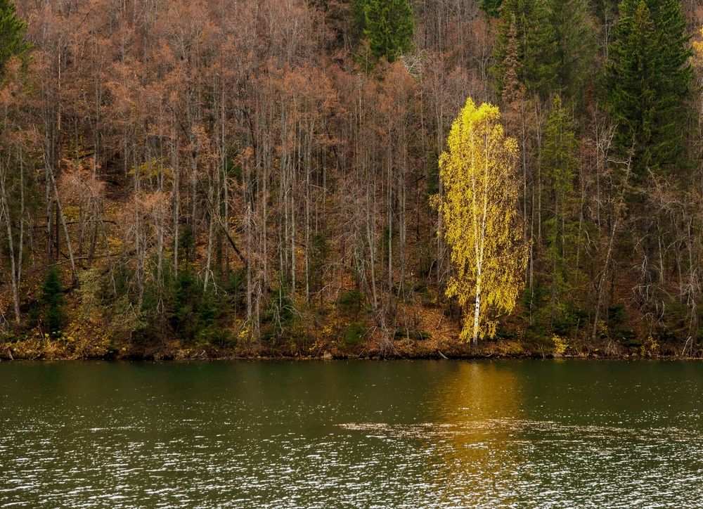 Фотография автора Людмила Белякова