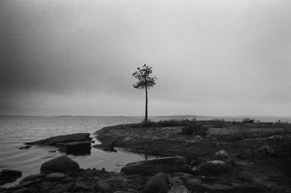 Photograph by яков сморгонский