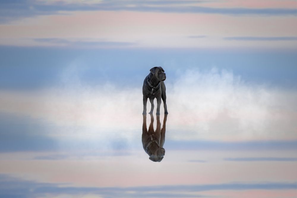Photograph by Светлана Писарева